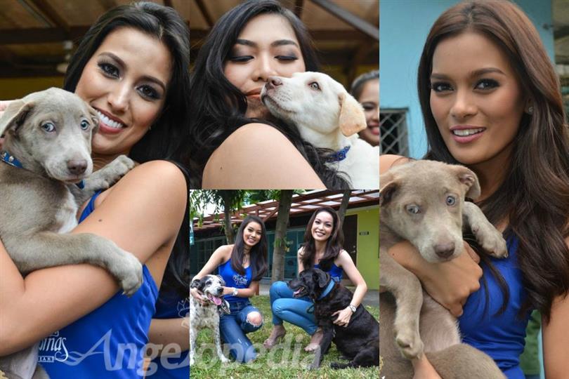 Binibining Pilipinas 2017 contestants attend events and activities